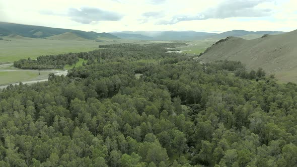 Trees, Forest and Vast Meadow in The Big River in Wide Valley of Asia Geography