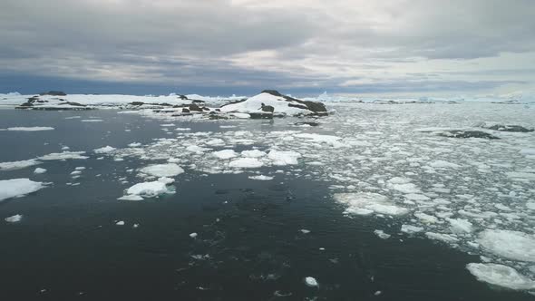 Penguins Jumping in Antarctica Ocean. Aerial Shot.