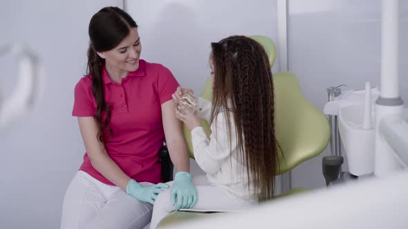 Female Dentist Counseling Playfully Girl the Careful Oral Care Using Jaw Layout