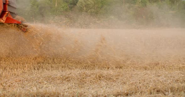 Combine Harvester Harvesting Agricultural Wheat Field