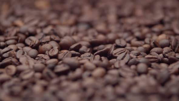 View on Around on a Bunch of Brown Coffee Beans Closeup