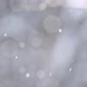 View of a Blurred Winter Background of Trees and Flying Sparkling Snow in the Form of Bokeh - VideoHive Item for Sale