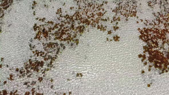 Ocean Coral Reef and Beach Shallow at Low Tide Zanzibar Matemwe Top Aerial