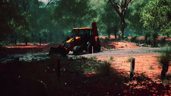 Excavator Tractor in Bush Forest