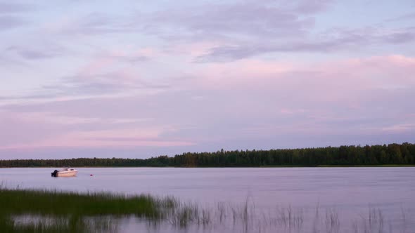 Summer Landscape alt