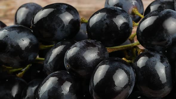 Dark blue grape on black background