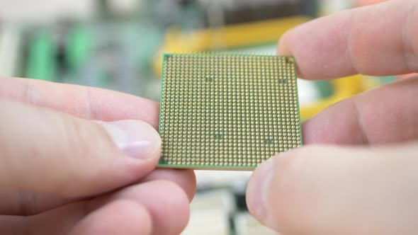 Worker Holds Computer CPU Processor