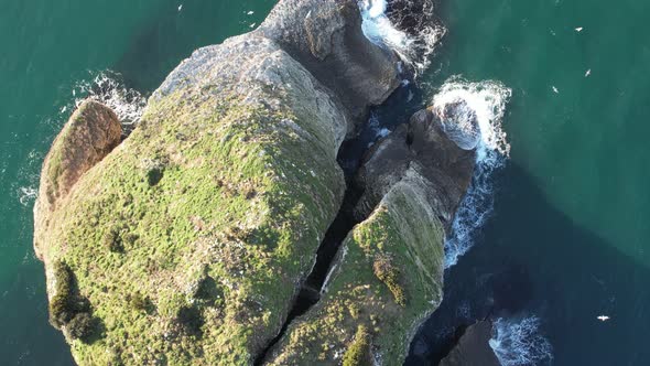 Sea and Rocky and wave