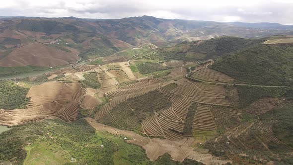 Douro Wine Region Mountain Vineyards