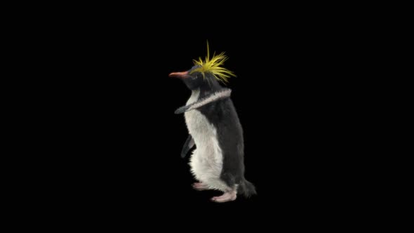 Penguin Dancing HD