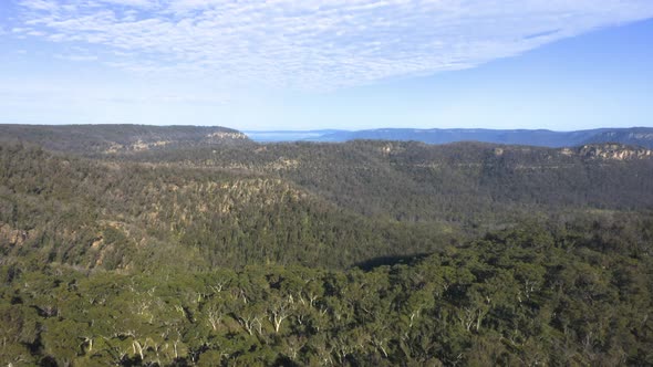 Drone aerial footage of a large green forest of eucalyptus trees in a valley in regional Australia