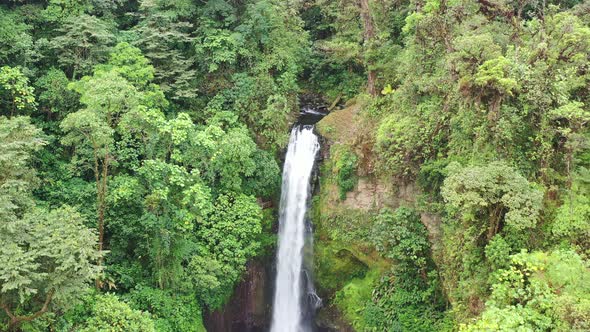Aerial view of waterfall in lush rainforest