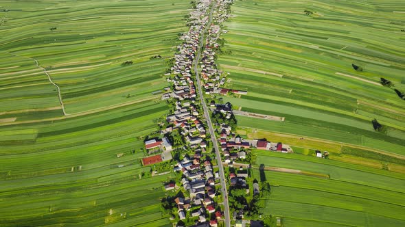 Aerial View of Decorative Ornaments of Diverse Green Fields and Houses