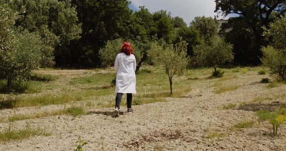Young agronomist checks the olives in the countryside