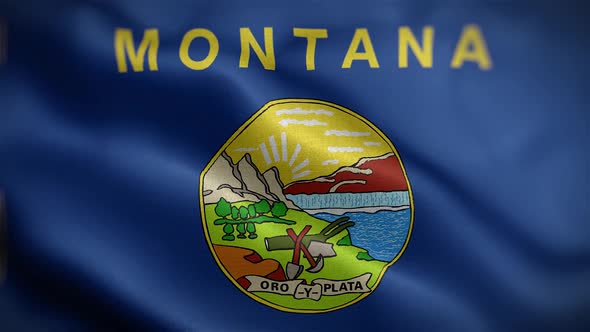 Montana State Flag Front