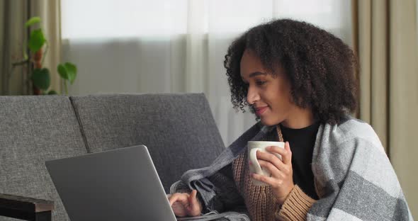 Afro American Business Woman Freelancer Student Sitting at Home on Couch Hiding with Blanket Holds