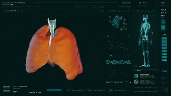 Human Patient Respiratory System Examination Via X-ray Screening Device alt