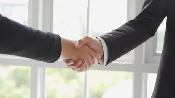 Two Business hand shake 