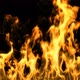 Fire - VideoHive Item for Sale