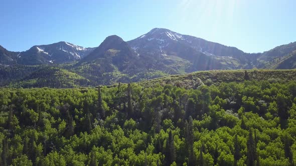 Panning view of mountain forest layers