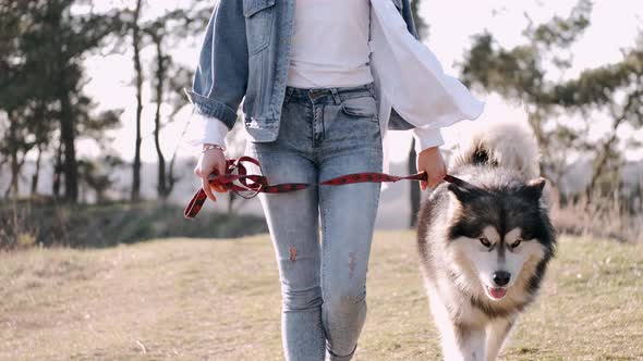 Pretty Girl Is Walking with a Cute Fluffy Dog in the Field