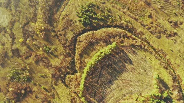 Aerial View Green Forest Deforestation Area Landscape