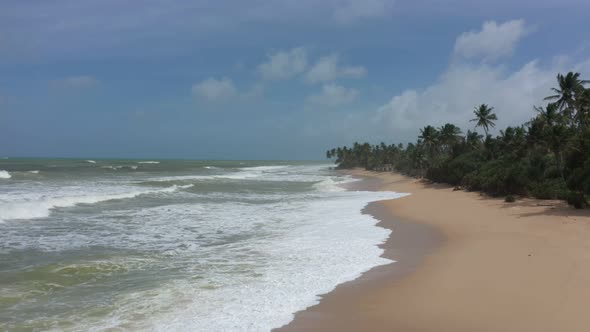 beach with waves and palm trees in cloudy weather