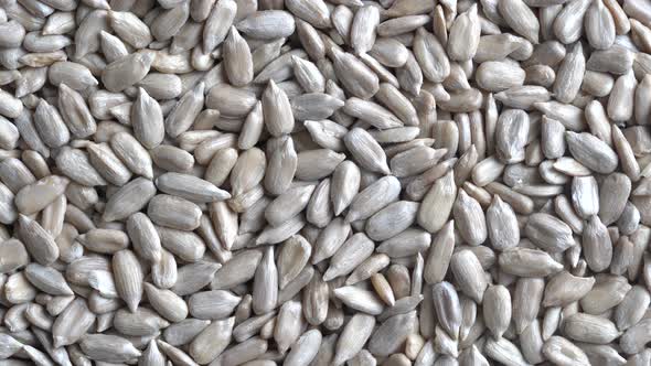 Peeled sunflower seeds pile background, close up, rotate