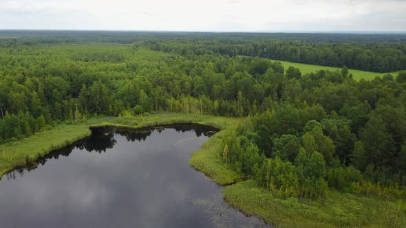 Small Lake In The Forest 07