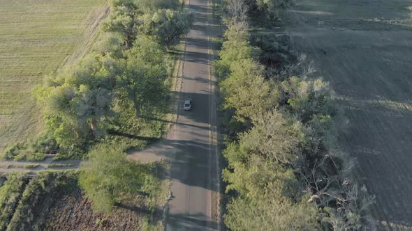 AERIAL Following Car Birds Eye View Tracking Shot Green Trees and Green Field