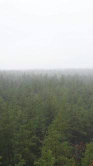 Vertical Video Fog in the Forest Aerial View