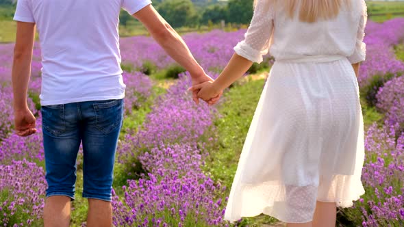 Lovers in a Lavender Field
