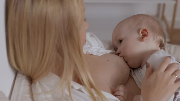 Baby Boy Drinking Milk From Mother Breast