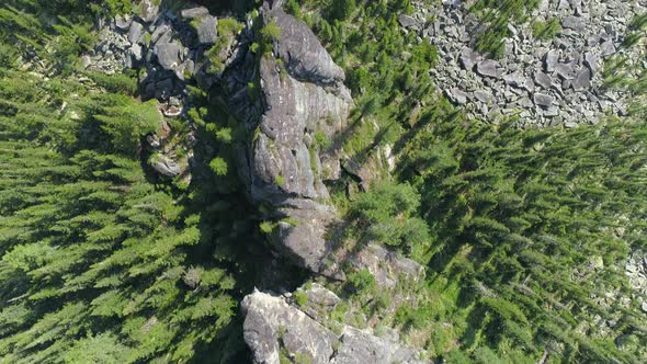 Drone Flight from Top Mountain and Taiga Forest