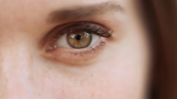 Close Up View Brown Left Eye of a Female