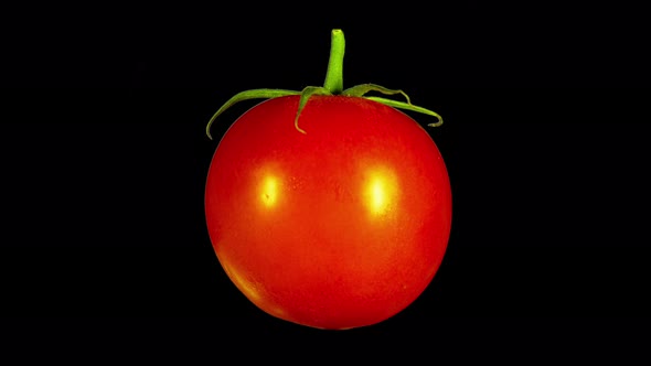 Rotating Isolated Tomato