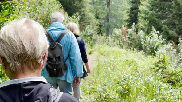 Back View of Family During a Mountain Trip Along Italian Alps Summer Season