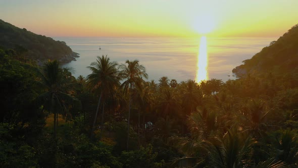 Aerial Above Palm Trees Against of Andaman Sea Sunset in Phuket Thailand