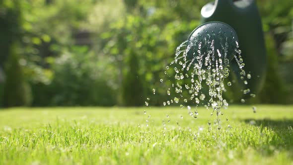 Watering in the Garden 38