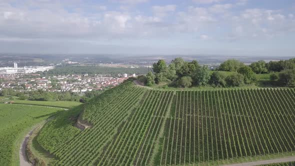 Aerial flyover of a small hill, called Scheuerberg, which slopes are used for the cultivation of gra