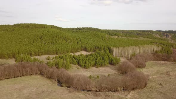 Early Spring Green Nature