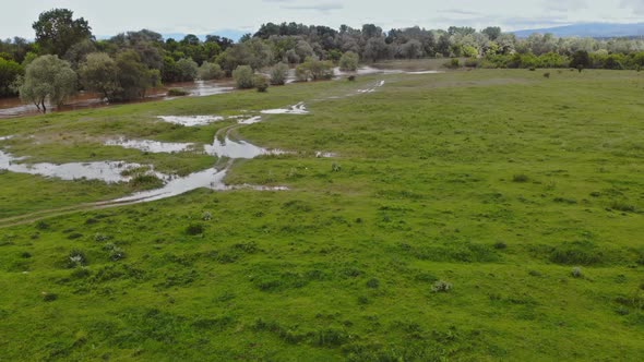 Aerial View of Rural Farm Flooding Featuring Farm House on Dry Flooded Fields