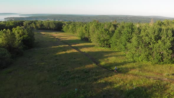 Birds eye view of the woods with a man jogging on a trail