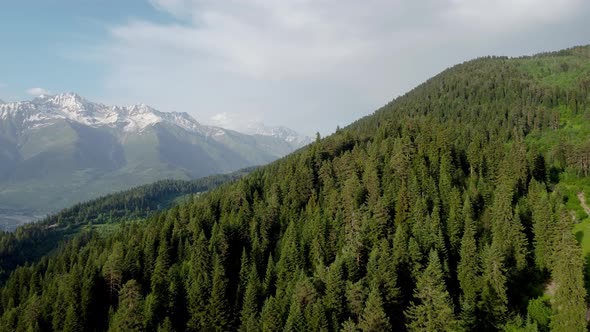 Mountain and forest aerial view