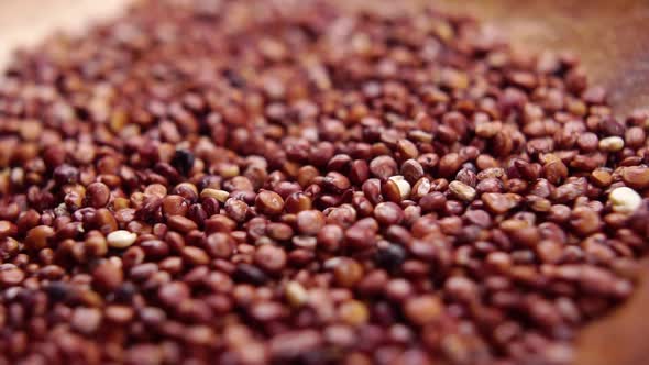 Falling organic red quinoa grains in slow motion. Macro shot. Uncooked dry gluten free seeds