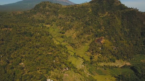 Mountain Landscape Farmlands Village Bali Indonesia