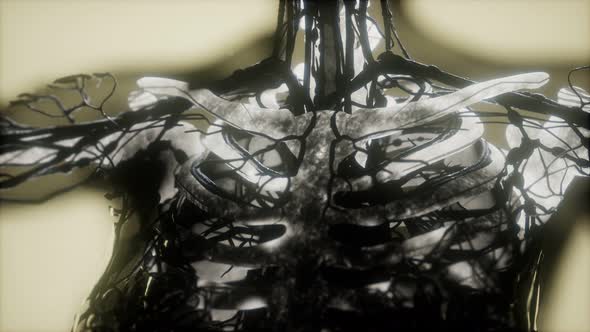 Human Skeleton Bones Scan Glowing alt