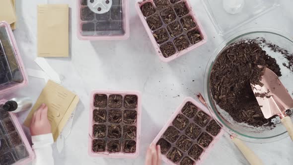 Flat lay. Planting seeds in seed propagator with soil.