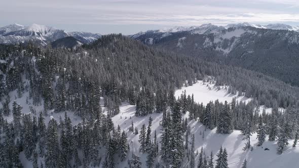 Beautiful Helicopter Scenic View Of Cascade Mountain Range With Fresh Powder Snow On Forest Trees