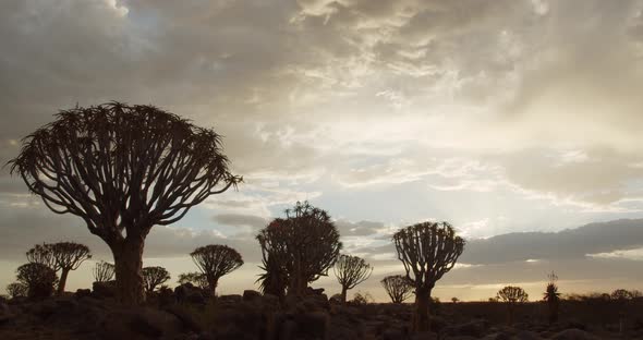 Fast motion footage of the clouds in the sky over the Quiver Tree Forest in Namibia, 4k